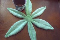 Smudge Plant laid out flat
