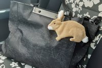Smudge Pet: Bunny Rabbit Covert Cleaning Cloth
