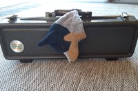 Australian Cattle Dog attached to a musical instrument case.