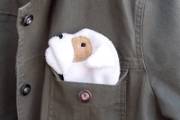 Bulldog peeking out of jean jacket pocket.