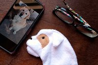 Bulldog with phone and glasses. Two of the items it can clean
