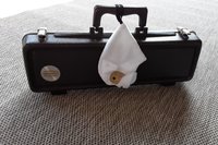 Bulldog attached to a musical instrument case.