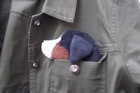 Smudge Dog shown peeking out of a jean jacket.