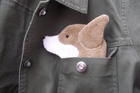 Smudge Dog peeking out of a pocket of a jean jacket.
