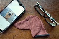 Smudge Dog with smart phone and glasses.