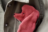 Smudge Dog peeking out of a pocket of a jean jacket.