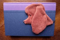 Smudge dog used as a bookmark.