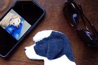 Smudge Dog with smart phone and glasses.