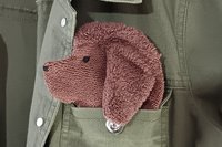 Smudge Dog peeking out of the pocket of a jean jacket