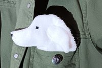 Smudge Dog peeking out of a jean jacket pocket