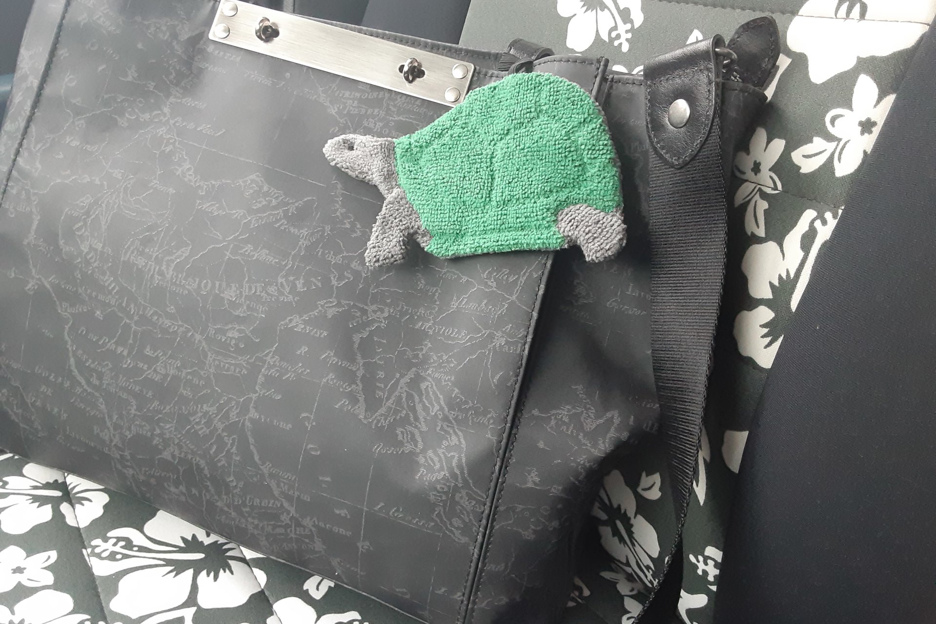 Smudge Pet: Turtle-Tortoise Covert Cleaning Cloth