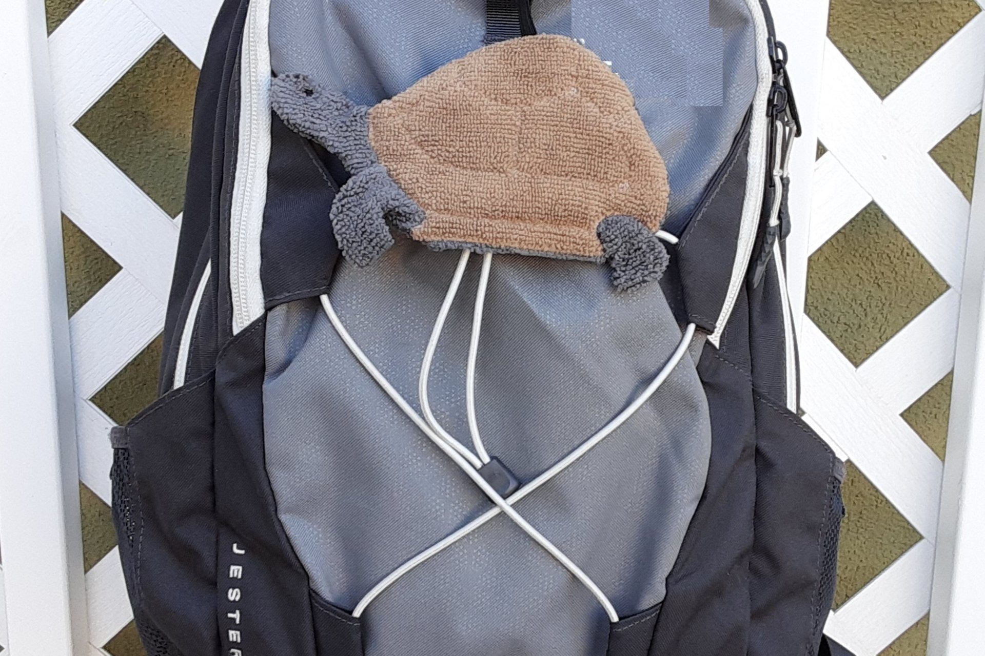 Smudge Pet: Turtle-Tortoise Covert Cleaning Cloth