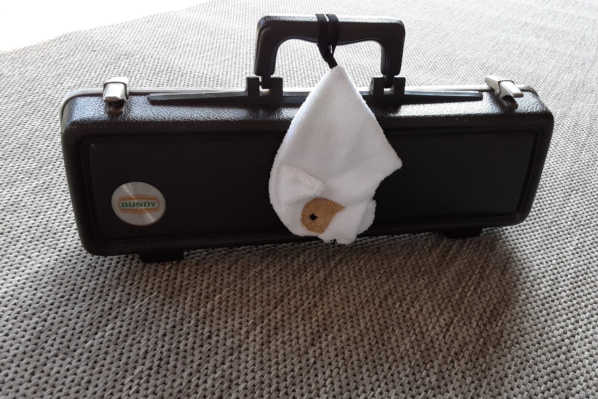 Bulldog attached to a musical instrument case.