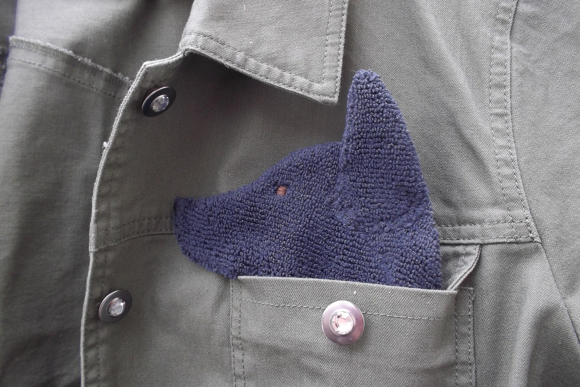 Dog shaped cloth peeking out of a jean jacket pocket.