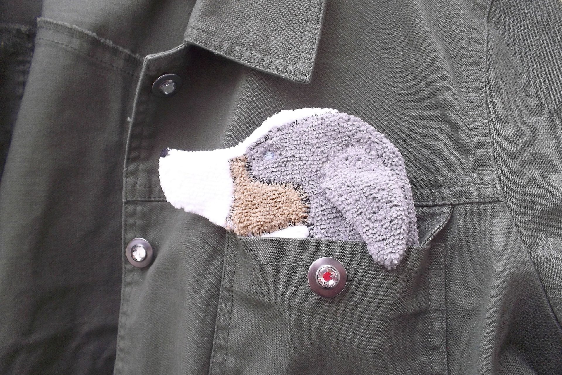 Dog shaped cloth peeking out of a jean jacket pocket.