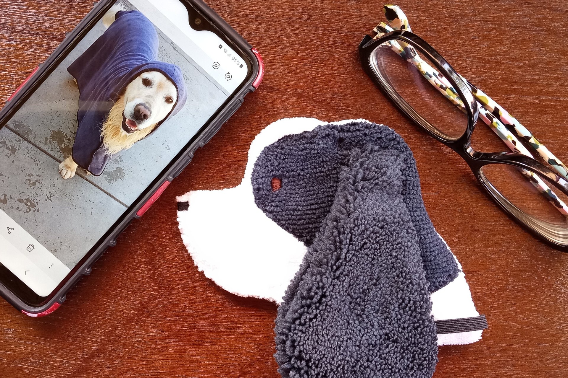 Smudge Dog with smart phone and glasses.