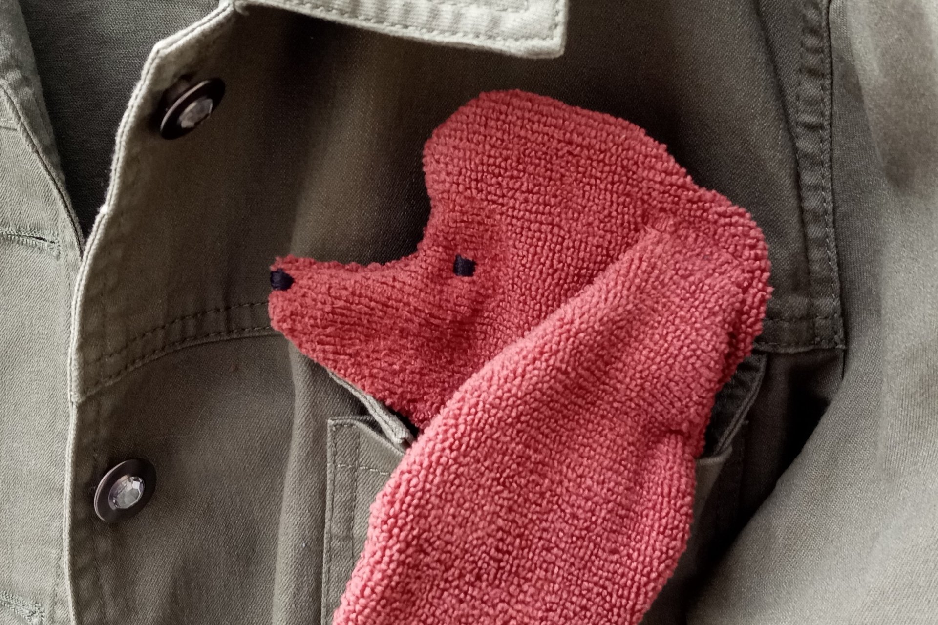 Smudge Dog peeking out of a pocket of a jean jacket.