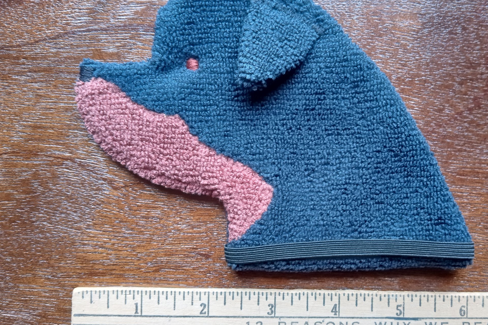 Smudge Dog with ruler to show size.
