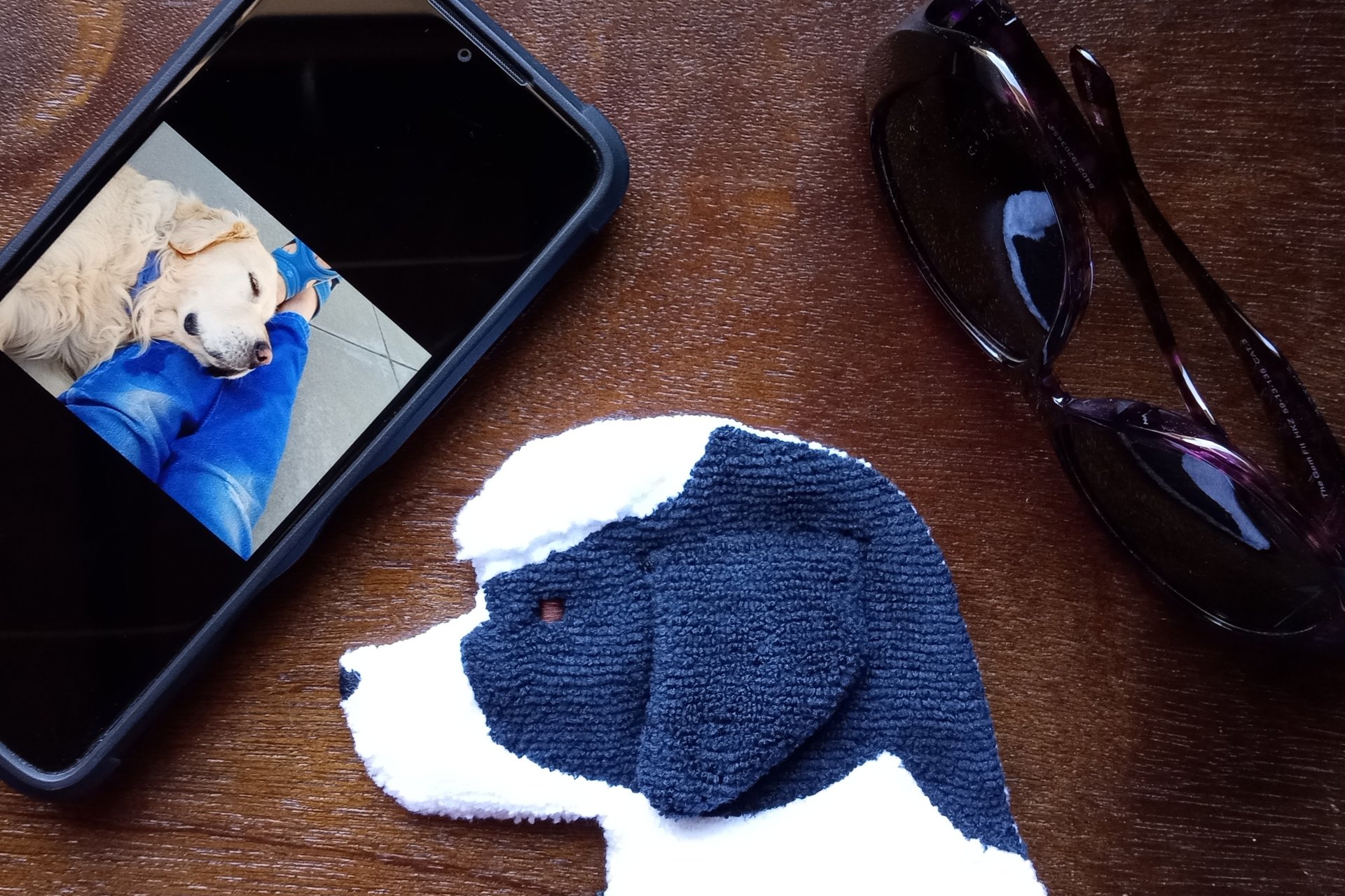 Smudge Dog with smart phone and glasses.