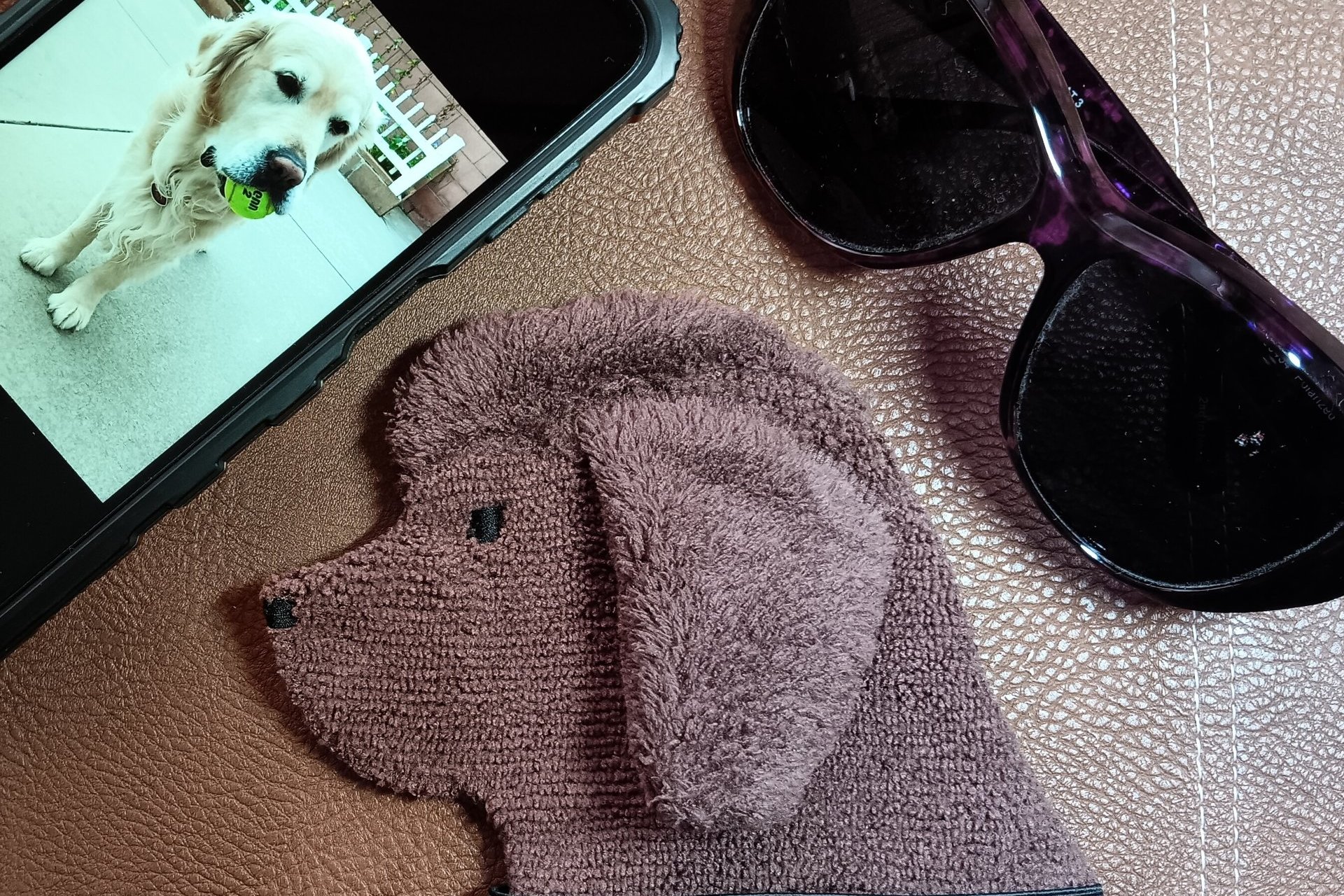 Showing scale of Smudge Dog with two of the many items it can clean and polish: smart phone and eye glasses.