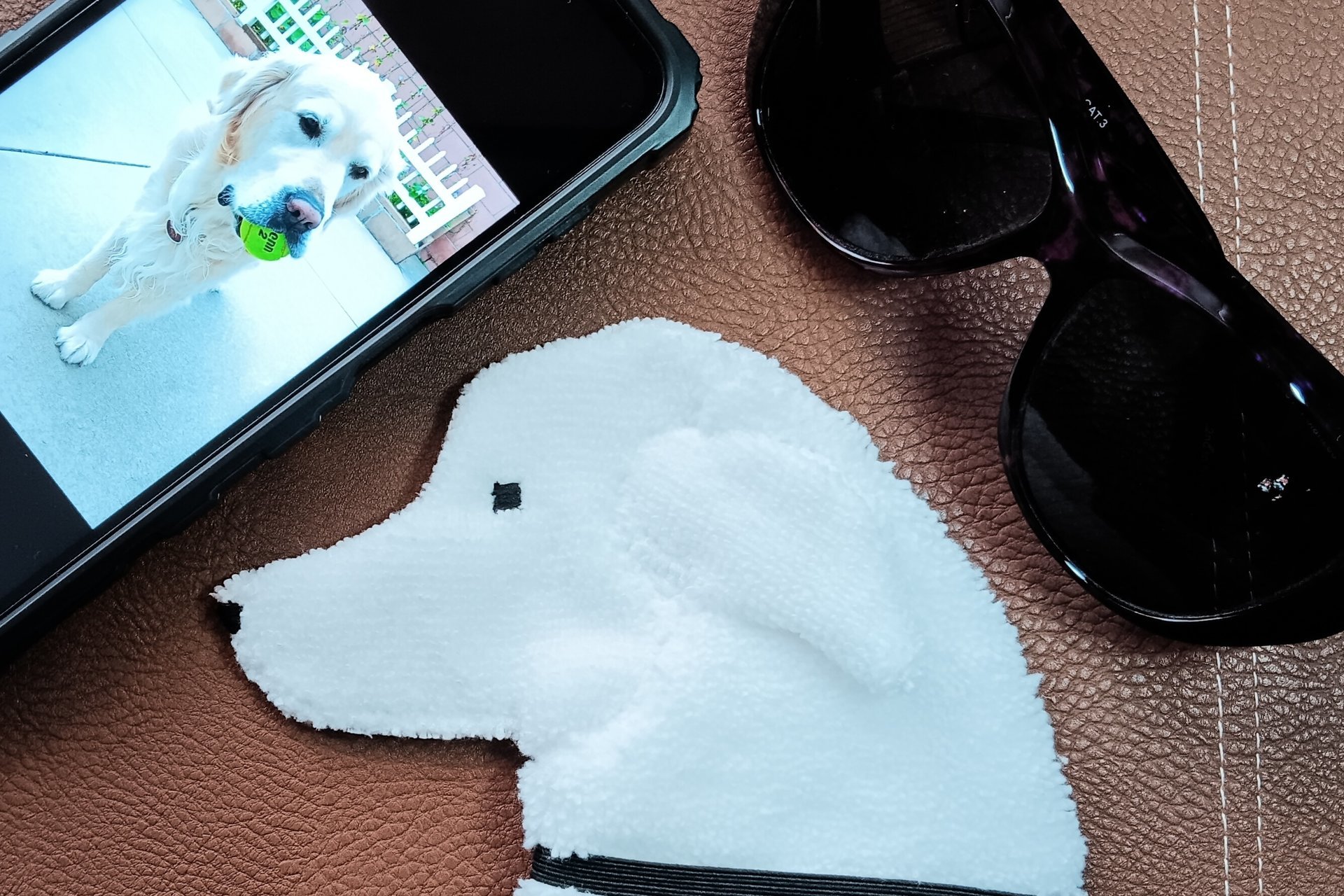 Showing scale of Smudge Dog with two of the many items it can clean and polish: smart phone and eye glasses.
