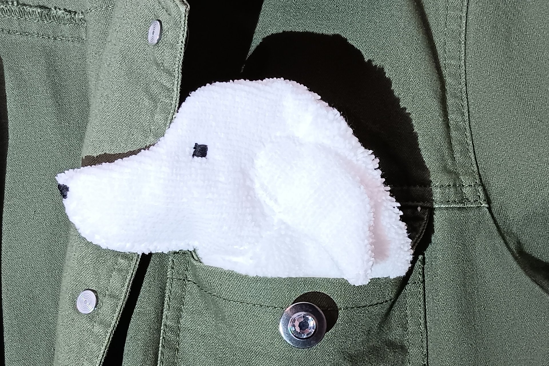Smudge Dog peeking out of a jean jacket pocket