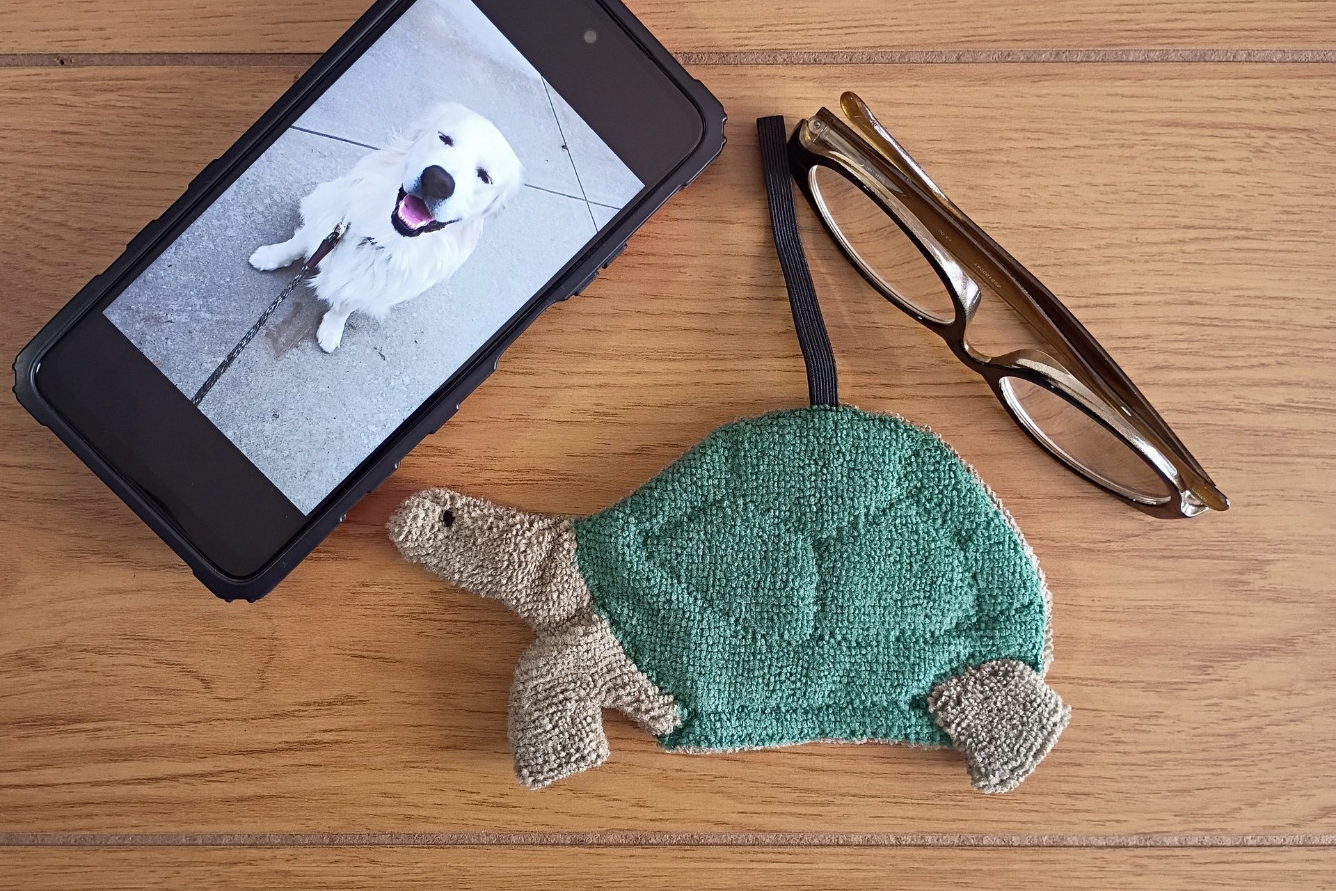Smudge Pet: Turtle-Tortoise Covert Cleaning Cloth