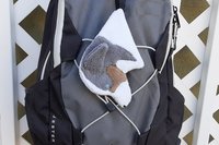Smudge Dog attached to backpack.