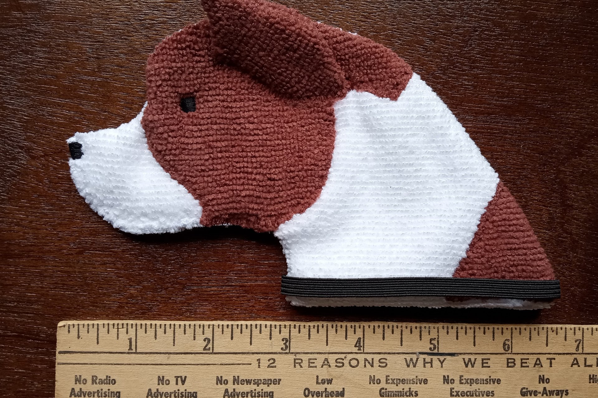 Smudge Dog with ruler to show size.
