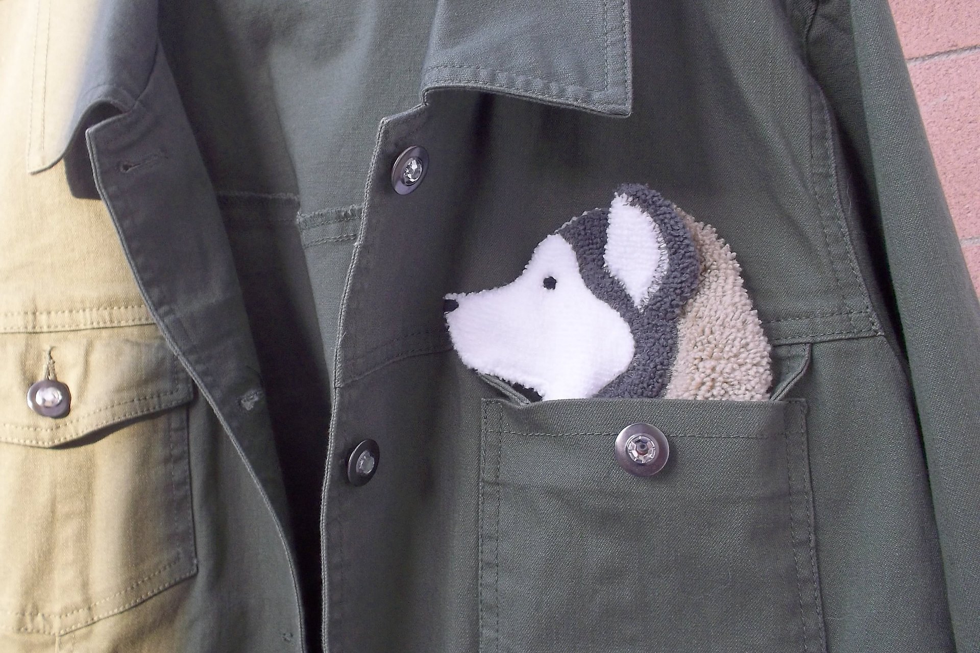 Dog shaped cloth peeking out of a jean jacket pocket.